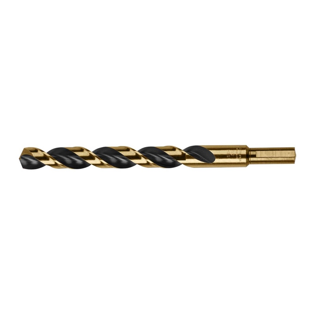 [TES-0032] Broca HSS n 1/2 Turtle